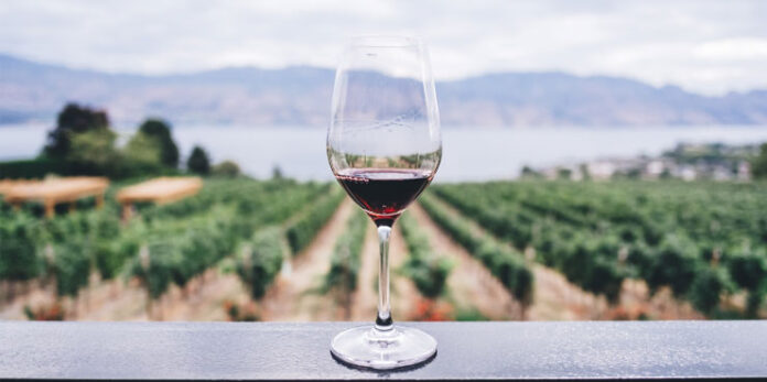 Wine Reviews: Best of 2023